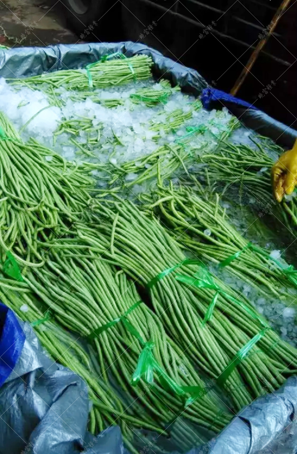 1557978129974978.jpg 18.jpg