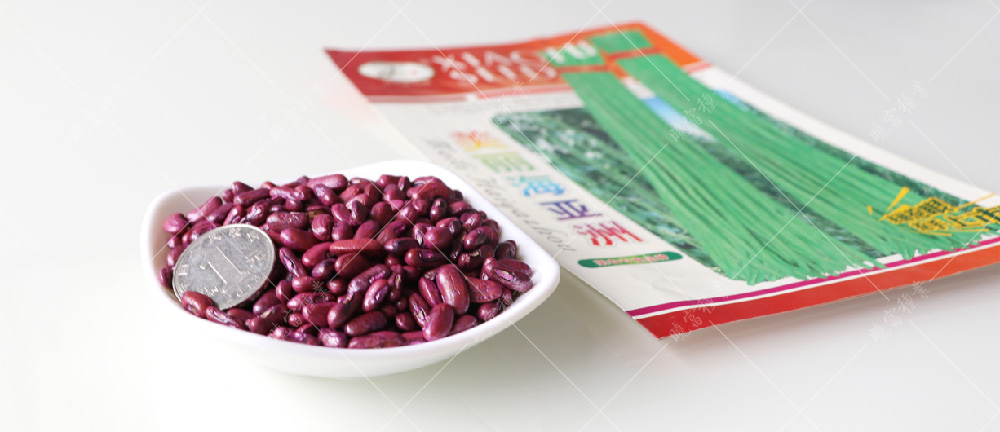 1557986371109172.jpg 未標題-1.jpg