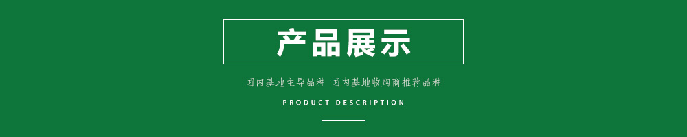 1557993249398653.jpg 00新產(chǎn)品.jpg