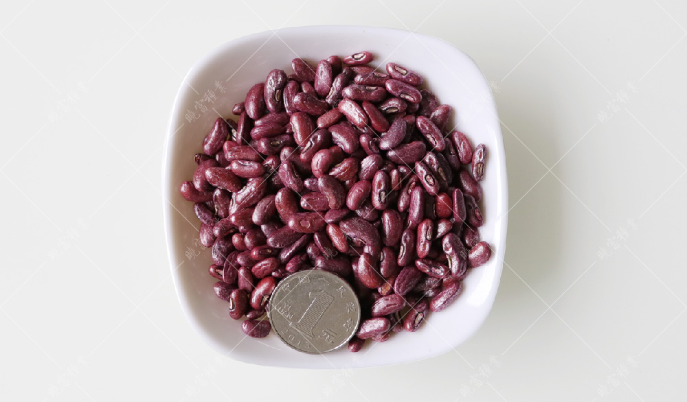 1558055740340269.jpg 未標題-1.jpg