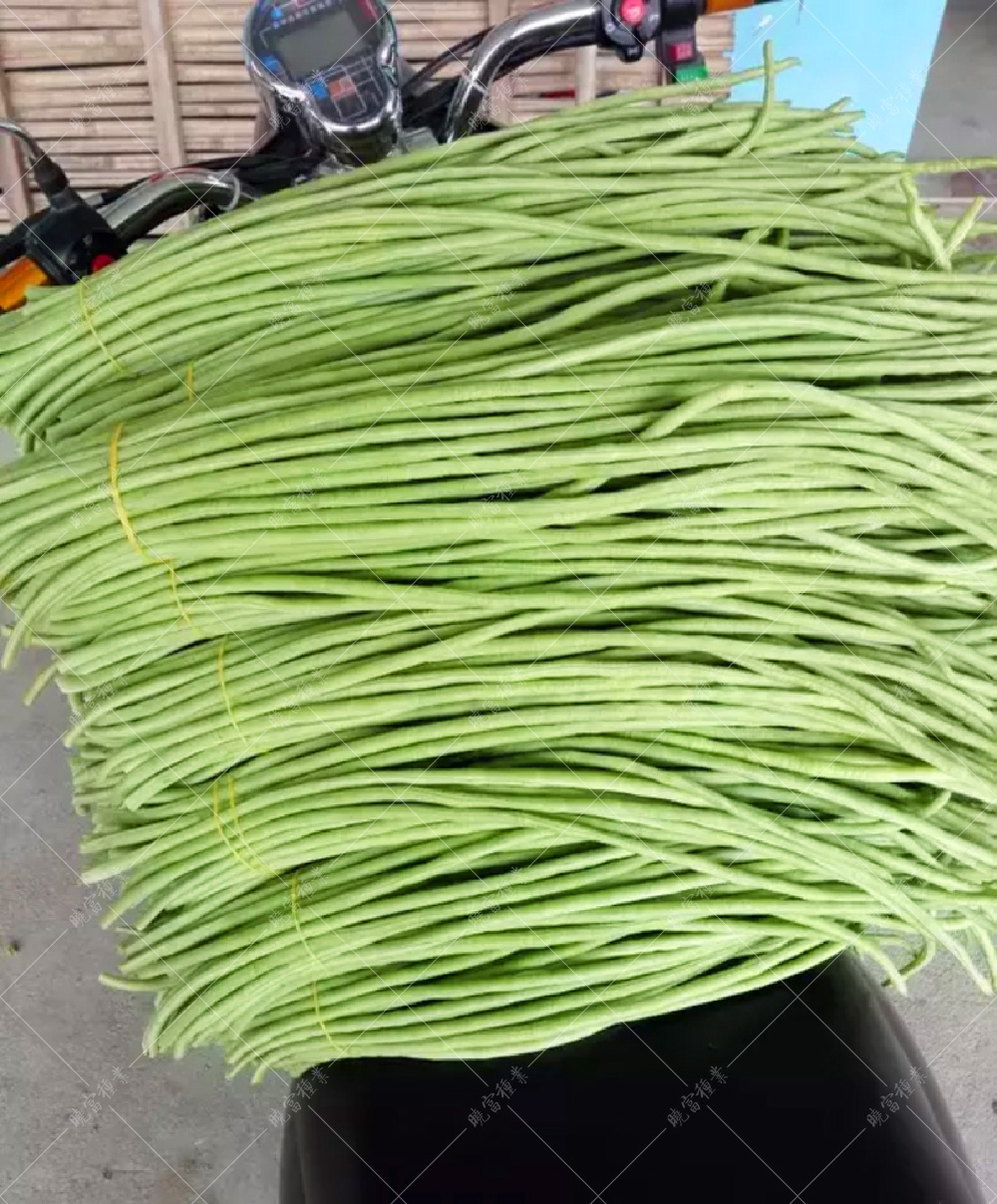 1558057238329067.jpg 52.jpg