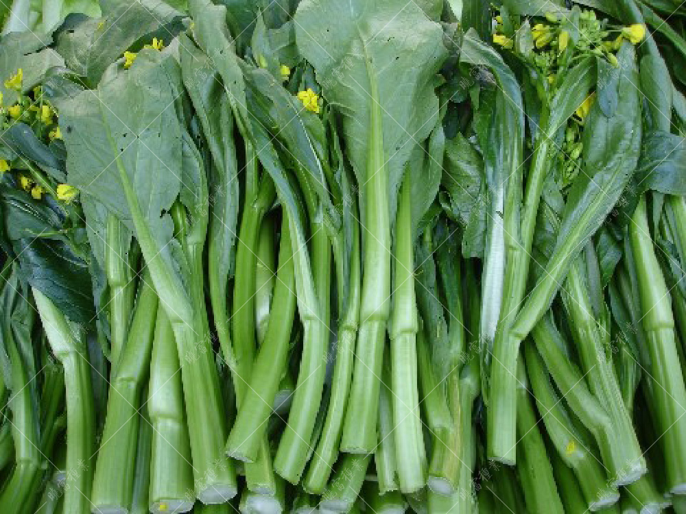 1558591636947559.jpg 1426596-DSC04342.jpg